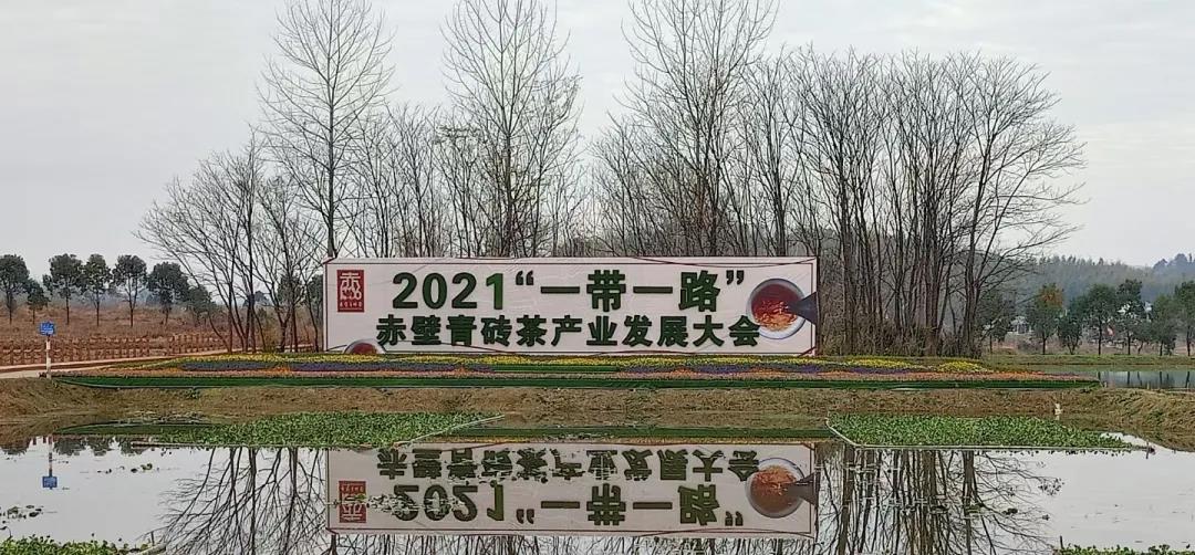 以茶會(huì)友(yǒu) 八方賓朋(péng) 齊聚盛會(huì)