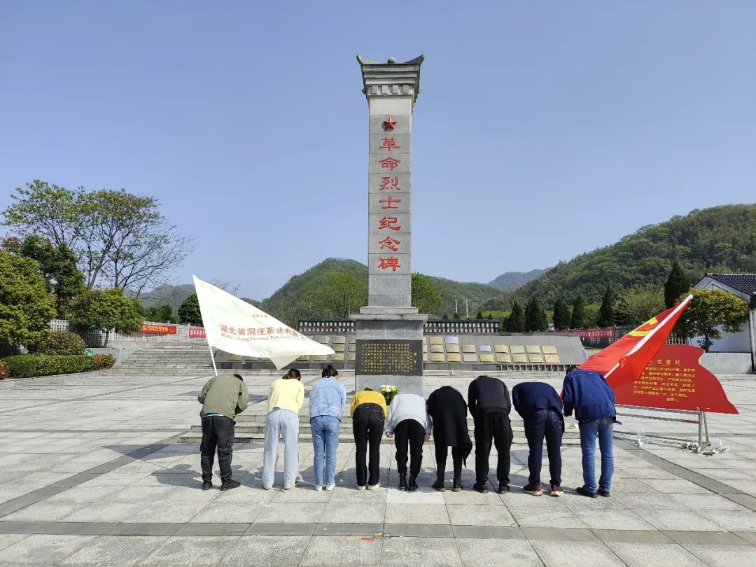 緬懷革命先烈 傳承革命先烈精神‖洞莊茶業(yè)開(kāi)展烈士祭掃活動