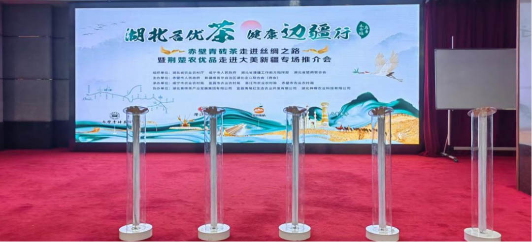 共譜民(mín)族團結之歌(gē)‖湖(hú)北(běi)洞莊茶業(yè)“邊疆行(xíng)”走進大(dà)美(měi)新疆