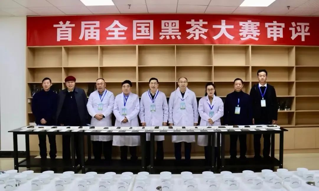 喜報(bào)｜洞莊青磚茶又(yòu)添新榮譽！