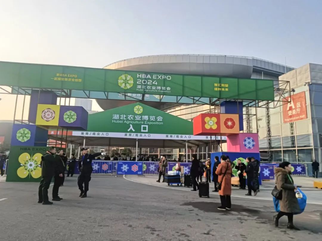 2024湖(hú)北(běi)農(nóng)博會(huì)：赤壁青磚茶的(de)獨特魅力璀璨綻放(fàng)